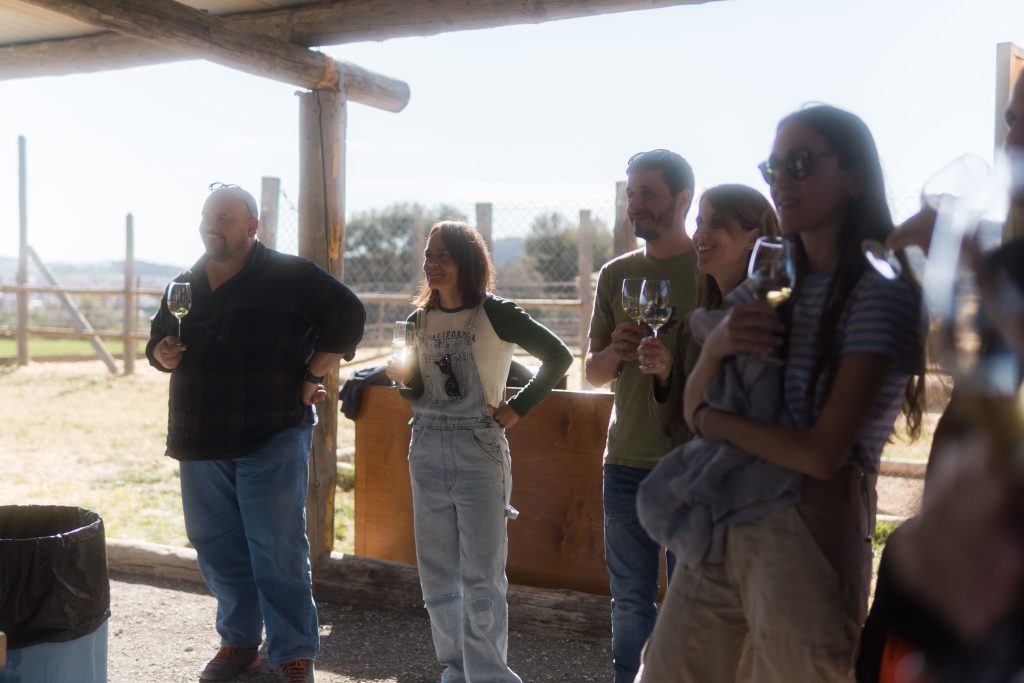 grup de persones a la cometa amb copes de vi