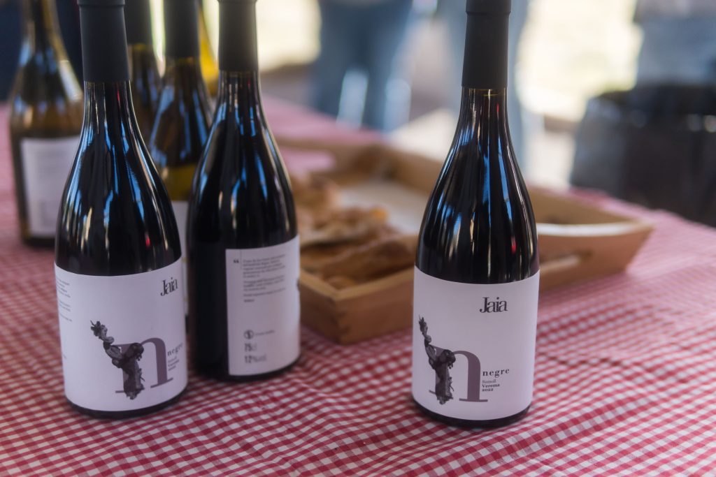 vins jaia